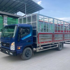 cùng nhau trao đổi về xe tải Hyundai 5 tấn
